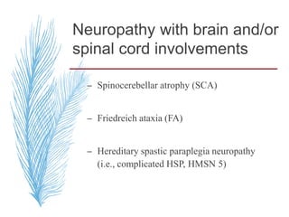 Neuropathy with brain and/or
spinal cord involvements
– Spinocerebellar atrophy (SCA)
– Friedreich ataxia (FA)
– Hereditary spastic paraplegia neuropathy
(i.e., complicated HSP, HMSN 5)
 