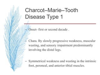 Charcot–Marie–Tooth
Disease Type 1
– Onset- first or second decade .
– Chara. By slowly progressive weakness, muscular
wasting, and sensory impairment predominantly
involving the distal legs.
– Symmetrical weakness and wasting in the intrinsic
foot, peroneal, and anterior tibial muscles.
 