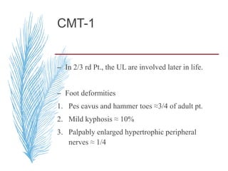 CMT-1
– In 2/3 rd Pt., the UL are involved later in life.
– Foot deformities
1. Pes cavus and hammer toes ≈3/4 of adult pt.
2. Mild kyphosis ≈ 10%
3. Palpably enlarged hypertrophic peripheral
nerves ≈ 1/4
 