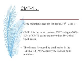 CMT-1…
– Gene mutations-account for about 3/4th CMT1 .
– CMT1A is the most common CMT subtype-70%–
80% of CMT1 cases and more than 50% of all
CMT cases.
– The disease is caused by duplication in the
17p11.2-12 -PMP22,rarely by PMP22 point
mutation.
 