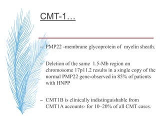 CMT-1…
– PMP22 -membrane glycoprotein of myelin sheath.
– Deletion of the same 1.5-Mb region on
chromosome 17p11.2 results in a single copy of the
normal PMP22 gene-observed in 85% of patients
with HNPP
– CMT1B is clinically indistinguishable from
CMT1A accounts- for 10–20% of all CMT cases.
 