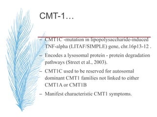 CMT-1…
– CMT1C -mutation in lipopolysaccharide-induced
TNF-alpha (LITAF/SIMPLE) gene, chr.16p13-12 .
– Encodes a lysosomal protein - protein degradation
pathways (Street et al., 2003).
– CMT1C used to be reserved for autosomal
dominant CMT1 families not linked to either
CMT1A or CMT1B
– Manifest characteristic CMT1 symptoms.
 