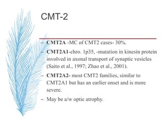 CMT-2
– CMT2A -MC of CMT2 cases- 30%.
– CMT2A1-chro. 1p35, -mutation in kinesin protein
involved in axonal transport of synaptic vesicles
(Saito et al., 1997; Zhao et al., 2001).
– CMT2A2- most CMT2 families, similar to
CMT2A1 but has an earlier onset and is more
severe.
– May be a/w optic atrophy.
 