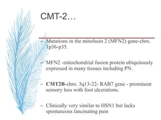 CMT-2…
– Mutations in the mitofusin 2 (MFN2) gene-chro.
1p36-p35.
– MFN2 -mitochondrial fusion protein ubiquitously
expressed in many tissues including PN.
– CMT2B-chro. 3q13-22- RAB7 gene - prominent
sensory loss with foot ulcerations.
– Clinically very similar to HSN1 but lacks
spontaneous lancinating pain
 