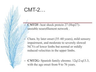 CMT-2…
– CMT2F- heat shock protein 27 (Hsp27)-
unstable neurofilament network .
– Chara. by later onset (35–60 years), mild sensory
impairment, and moderate to severely slowed
NCVs of lower limbs but normal or mildly
reduced velocities in the upper limbs.
– CMT2G- Spanish family chromo. 12q12-q13.3,
with the age onset from 9 to 76 years.
 