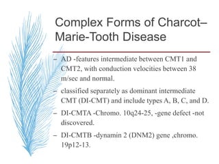 Complex Forms of Charcot–
Marie-Tooth Disease
– AD -features intermediate between CMT1 and
CMT2, with conduction velocities between 38
m/sec and normal.
– classified separately as dominant intermediate
CMT (DI-CMT) and include types A, B, C, and D.
– DI-CMTA -Chromo. 10q24-25, -gene defect -not
discovered.
– DI-CMTB -dynamin 2 (DNM2) gene ,chromo.
19p12-13.
 