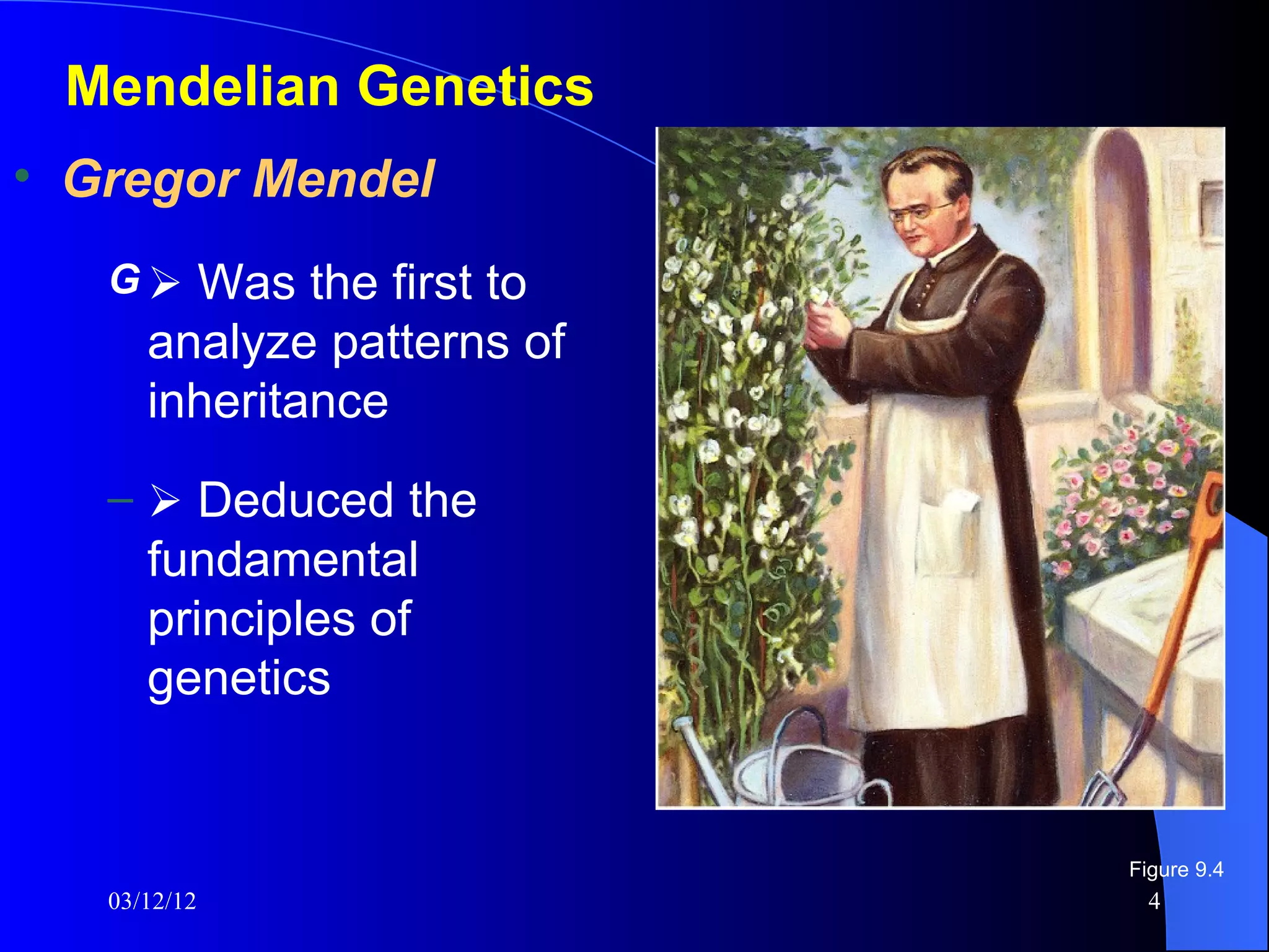 Mendelian Genetics
• Gregor Mendel
   G  Was the first to
      analyze patterns of
      inheritance
   –  Deduced the
      fundamental
      principles of
      genetics


                            Figure 9.4
   03/12/12                   4
 