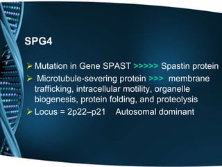 SPG17
 Silver syndrome
 Mutation in Gene BSCL2 >>>>> Seipin protein
 Phenotype overlapping with distal spinal
muscular ...