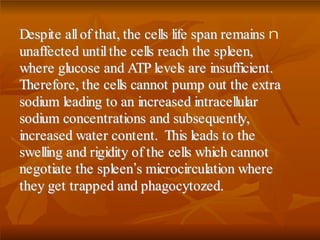 nDDeessppiittee aallll ooff tthhaatt,, tthhee cceellllss lliiffee ssppaann rreemmaaiinnss
uunnaaffffeecctteedd uunnttiill tthhee cceellllss rreeaacchh tthhee sspplleeeenn,,
wwhheerree gglluuccoossee aanndd AATTPP lleevveellss aarree iinnssuuffffiicciieenntt..
TThheerreeffoorree,, tthhee cceellllss ccaannnnoott ppuummpp oouutt tthhee eexxttrraa
ssooddiiuumm lleeaaddiinngg ttoo aann iinnccrreeaasseedd iinnttrraacceelllluullaarr
ssooddiiuumm ccoonncceennttrraattiioonnss aanndd ssuubbsseeqquueennttllyy,,
iinnccrreeaasseedd wwaatteerr ccoonntteenntt.. TThhiiss lleeaaddss ttoo tthhee
sswweelllliinngg aanndd rriiggiiddiittyy ooff tthhee cceellllss wwhhiicchh ccaannnnoott
nneeggoottiiaattee tthhee sspplleeeenn’’ss mmiiccrroocciirrccuullaattiioonn wwhheerree
tthheeyy ggeett ttrraappppeedd aanndd pphhaaggooccyyttoozzeedd..
 