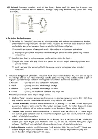 (4) Katenasi kromosom mengalami patah di dua tempat. Bagian patah itu lepas dan kromosom yang 
bersangkutan kemudian molekul membulat, sehingga ujung-ujung kromosom yang patah akan saling 
berlekatan. 
b. Perubahan Jumlah Kromosom 
(1) Perubahan Set (Aneuploidi) perubahan set adalah perubahan pada jumlah n-nya, artinya suatu keadaan 
jumlah kromosom yang kurang atau lebih dari normal. Perubahan set kromosom dapat diusahakan melalui 
penghambatan pemisahan kromosom dengan cara induksi kolkisin dan dekapitasi. 
(a) Autoploidi: yaitu genom (n) mengganda sendiri dikarenakan terjadi gangguan saat meiosis. 
(b) Allopoliploidi: yaitu genom mengganda dikarenakan terjadi perkawinan antar spesies yang berbeda 
kromosomnya. 
(2) Aneuploidi juga dapat terjadi pada manusia melalui peristiwa digini dan diandri. 
(a) Digini, yaitu dua sel telur yang dibuahi satu sperma, hal ini dapat terjadi karena kegagalan sel kutub 
(polosit) memisah. 
(b) Diandri, yaitu sel telur yang dibuahi oleh dua sperma, yang terjadi pada peristiwa terlambat 
pembelahan. 
c. Perubahan Penggandaan (Aneusomi), Aneusomik dapat terjadi karena beberapa hal, yaitu anafase lag dan 
non disjungsi anafase lag: tidak melekatnya kromatid pada gelendong, waktu anafase meiosis I. Dan non 
disjungsi: gagal berpisahnya kromosom humolog pada waktu anafase dari meiosis. Macamnya : 
1. Monosomi = (2n – 1), salah satu kromosomnya hanya satu. 
2. Trisomi = (2n + 1), salah satu kromosomnya ada tiga. 
3. Tetrasomi = (2n + 2), salah satu kromosomnya ada empat. 
4. Nulisomi = (2n – 2), ada dua macam kromosom yang hanya satu 
Aneusomik pada manusia dapat terjadi sebagai berikut. 
1. Sindrom Turner, mengalami pengurangan kromosom Y-nya sehingga mempunyai kariotip 2AA + XO. Orang 
yang mengalami sindrom Turner berkelamin wanita, tetapi ovarium tidak tumbuh. 
2. Sindrom Klinefelter, penderita memiliki kromosom 2n + 1, Kariotip: 22AA + XXY. Trisomi terjadi pada 
gonosomnya. Biasanya testis penderita tidak tumbuh, sehingga mandul ( testiculair disgenesis). Gejala 
lain penderita adalah terjadi pertumbuhan payudara tetapi kelaminnya dikenal sebagai laki -laki. 
3. Sindrom Down, penderita memiliki kromosom 2n + 1, kariotip = 45A + XX atau 45A + XY. Trisomi terjadi 
pada autosom, pada kromosom nomor 21. Penderita menunjukkan gejala kaki pendek, mata sipit, berjalan 
lambat. Hal ini disebut mongolisme. 
4. Sindom Patau, Penderita memiliki kromosom 2n + 1, kariotip = 45A + XX atau 45A + XY. Trisomi pada 
autosom yang dapat terjadi pada kromosom nomor 13, 14 atau 15. Penderita menunjukkan gejala 
berkepala relatif lebih kecil, mata kecil, telinga rendah dan buruk, tuli, ada kelainan jantung. 
5. Sindrom Edwards, penderita memiliki kromosom 2n + 1, kariotip = 45A + XX atau 45A + XY. Trisomi pada 
autosom, mungkin terjadi pada kromosom nomor 16, 17 dan 18. Biasanya tengkoraknya lonjong, dada 
pendek dan lebar, telinga rendah dan tidak wajar. 
 