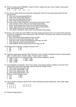 56. Individu dengan genotip AaBbDdEE, bila gen A tertaut dengan B dan gen a teraut dengan b maka jumlah 
gamet yang dibentuk adalah … 
a. 16 b. 8 c. 4 d. 2 e. 1 
57. Dari hasil uji silang (testcross) Drosophylla melanogaster tubuh abu-abu sayap panjang diperoleh hasil 
sebagai berikut 
1) tubuh abu-abu sayap panjang 965 ekor 
2) tubuh hitam sayap pendek 959 ekor 
3) tubuh abu-abu sayap pendek 962 ekor 
4) tubuh hitam sayap panjang 964 ekor 
Dari data tersebut dapat disimpulkan bahwa proses yang terjadi adalah … 
a. tidak ada tautan antara tubuh abu-abu dengan sayap panjang 
b. terjadi pindah silang antara tubuh abu-abu dengan sayap panjang 
c. terjadi gagal berpisah antara tubuh abu-abu dengan sayap panjang 
d. tidak ada gen yang tertaut pada kromosome seks 
e. tidak terjadi rekombinasi antara tubuh abu-abu dengan sayap panjang 
58. Gandum daun normal bulir putih (NNhh) dikawinkan dengan gandum daun tirus bulir hitam (nnHH), kemudian 
F1 ditescross menghasilkan 3032 normal putih, 3135 tirus hitam, 349 normal hitam dan 152 tirus putih. Data 
tersebut menunjukkan … 
a. gen N dan H pindah silang dengan KP lebih dari 50% 
b. kedua gen di atas pindah silang dengan RK = 50% 
c. kedua gen di atas pindah silang dengan RK lebih besar dari 50% 
d. tidak mengalami pindah silang karena RK=KP 
e. tidak mengalami pindah silang karena RK lebih besar dari KP 
59. Belalang jantan mempunyai pasangan kromosome seks … 
a. ZZ d. XO 
b. ZW e. XX 
c. XY 
60. Tumbuhan mangga dengan genotip AaBb dilakukan uji silang. Ternyata didapatkan keturunan dengan genotip : 
AaBb = 14 pohon, Aabb = 36 pohon, aaBb = 31 pohon, aabb = 19 pohon. 
Dari hasil uji silang di atas dapat dipastikan bahwa tetuanya mempunyai genotip .. 
a. AABB x aabb d. AABb x aaBb 
b. AAbb x aaBB e. aaBB x AABB 
c. AaBb x AaBb 
61. Pada Drosophyla melanogaster, tubuh warna kelabu, sayap panjang dominan terhadap warna tubuh hitam 
sayap pendek. Dalam suatu eksperimen diperoleh keturunan sebagai berikut : 
1) tubuh kelabu sayap panjang = 944 
2) tubuh hitam sayap pendek = 965 
3) tubuh hitam sayap panjang = 185 
4) tubuh kelabu sayap pendek = 206 
Maka nilai pindah silangnya adalah … 
a. 17% d. 58% 
b. 41% e. 83% 
c. 42% 
62. Jika jarak gehn A dengan B adalah 40 unit, maka perbandingan fenotip pembastaran antara AaBb dengan 
aabb adalah … 
a. 9 : 3 : 3 : 1 d. 6 : 4 : 6 : 4 
b. 9 ; 1 : 3 : 3 e. 4 : 6 : 6 : 4 
c. 6 : 4 : 4 : 6 
63. Perhatikan Bagan Berikut ! 
 