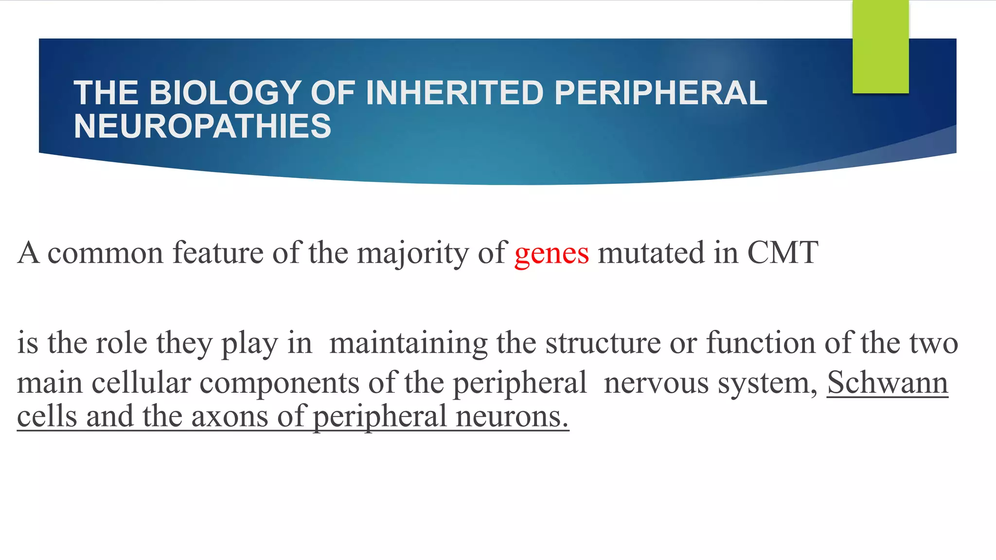 Hereditory peripheral neuropathy | PPTX