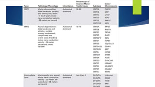 Hereditory peripheral neuropathy | PPTX