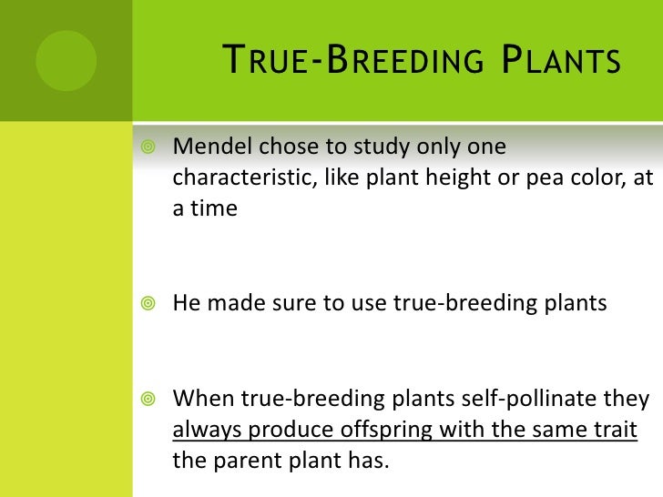 Heredity