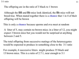 3:1 ratio                                                               11

   The offspring are in the ratio of 3 black to 1 brown

   Although the BB and Bb mice look identical, the Bb mice will not
   breed true. When mated together there is a chance that 1 in 4 of their
   offspring will be brown

  This is only a chance because sperms and ova meet at random

   A litter of 5, may contain no brown mice; in a litter of 12, you might
   expect 3 brown mice but you would not be surprised at anything
   between 2 and 5.

  The total offspring from successive matings of the heterozygotes
  would be expected to produce in something close to the 3:1 ratio

  For example, 6 successive litters might produce 35 black and
  13 brown mice. This is a ratio of 2.7:1, near enough to 3:1
 