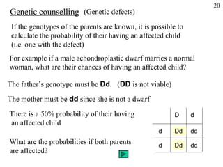 20
Genetic counselling (Genetic defects)
 If the genotypes of the parents are known, it is possible to
 calculate the probability of their having an affected child
 (i.e. one with the defect)
For example if a male achondroplastic dwarf marries a normal
woman, what are their chances of having an affected child?

The father’s genotype must be Dd. (DD is not viable)

The mother must be dd since she is not a dwarf

There is a 50% probability of their having                D     d
an affected child
                                                    d    Dd     dd
What are the probabilities if both parents          d     Dd    dd
are affected?
 