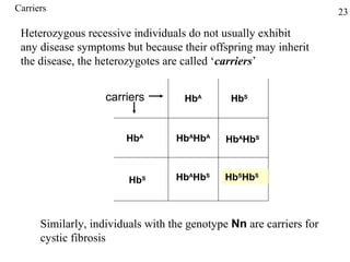 Carriers                                                             23

 Heterozygous recessive individuals do not usually exhibit
 any disease symptoms but because their offspring may inherit
 the disease, the heterozygotes are called ‘carriers’


                    carriers         HbA       HbS



                        HbA        HbAHbA    HbAHbS



                         HbS       HbAHbS    HbSHbS



      Similarly, individuals with the genotype Nn are carriers for
      cystic fibrosis
 