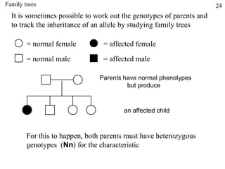 Family trees                                                          24
  It is sometimes possible to work out the genotypes of parents and
  to track the inheritance of an allele by studying family trees

        = normal female         = affected female

        = normal male           = affected male

                               Parents have normal phenotypes
                                        but produce



                                       an affected child



        For this to happen, both parents must have heterozygous
        genotypes (Nn) for the characteristic
 