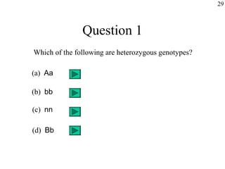 29



               Question 1
Which of the following are heterozygous genotypes?

(a) Aa

(b) bb

(c) nn

(d) Bb
 