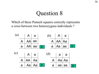 36



                    Question 8
Which of these Punnett squares correctly represents
a cross between two heterozygous individuals ?

  (a)       A   a         (b)       A   a
        A   AA aa               A AA Aa
        a   AA aa               a Aa aa

  (c)                     (d)
            A   a                   a   a
        A AA Aa                 A   Aa Aa
        a Aa Aa                 a   aa aa
 