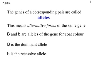 5
Alleles


    The genes of a corresponding pair are called
                       alleles
    This means alternative forms of the same gene

    B and b are alleles of the gene for coat colour

    B is the dominant allele

    b is the recessive allele
 