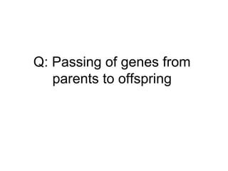 Q: Passing of genes from
parents to offspring
 