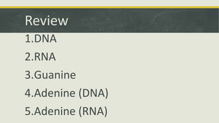 Review
1.DNA
2.RNA
3.Guanine
4.Adenine (DNA)
5.Adenine (RNA)
 