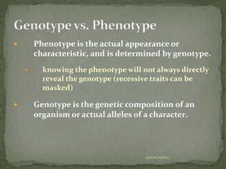  Phenotype is the actual appearance or
characteristic, and is determined by genotype.
 knowing the phenotype will not always directly
reveal the genotype (recessive traits can be
masked)
 Genotype is the genetic composition of an
organism or actual alleles of a character.
ANJAN NEPAL
 