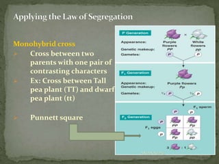 Monohybrid cross
 Cross between two
parents with one pair of
contrasting characters
 Ex: Cross between Tall
pea plant (TT) and dwarf
pea plant (tt)
 Punnett square
ANJAN NEPAL
 