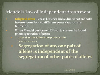  Dihybrid cross – Cross between individuals that are both
heterozygous for two different genes that you are
following
 When Mendel performed Dihybrid crosses he found
phenotype ratios of 9:3:3:1
 note that this follows the product rule:
3:1 x 3:1 = 9:3:3:1
 Segregation of any one pair of
alleles is independent of the
segregation of other pairs of alleles
ANJAN NEPAL
 