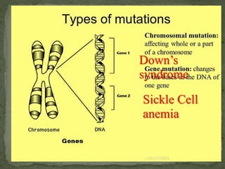 Down’s
syndrome
Sickle Cell
anemia
ANJAN NEPAL
 