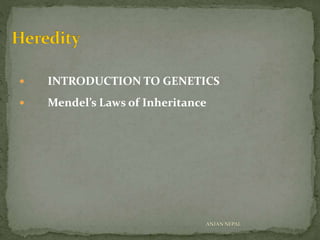  INTRODUCTION TO GENETICS
 Mendel’s Laws of Inheritance
ANJAN NEPAL
 