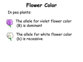 Heredity in animals biology. made for students in grade 10 | PPSX