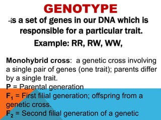 HEREDITY is the transmission of genes from parent to offspring. | PPTX