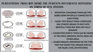 HEREDITY-THE EPIGENETIC FRAMEWORK.POWERPOINT | PDF