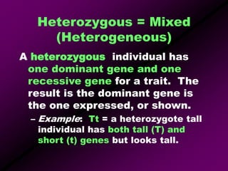 Heterogygous Example Heredity-and-Genetics-PowerPoint.ppt