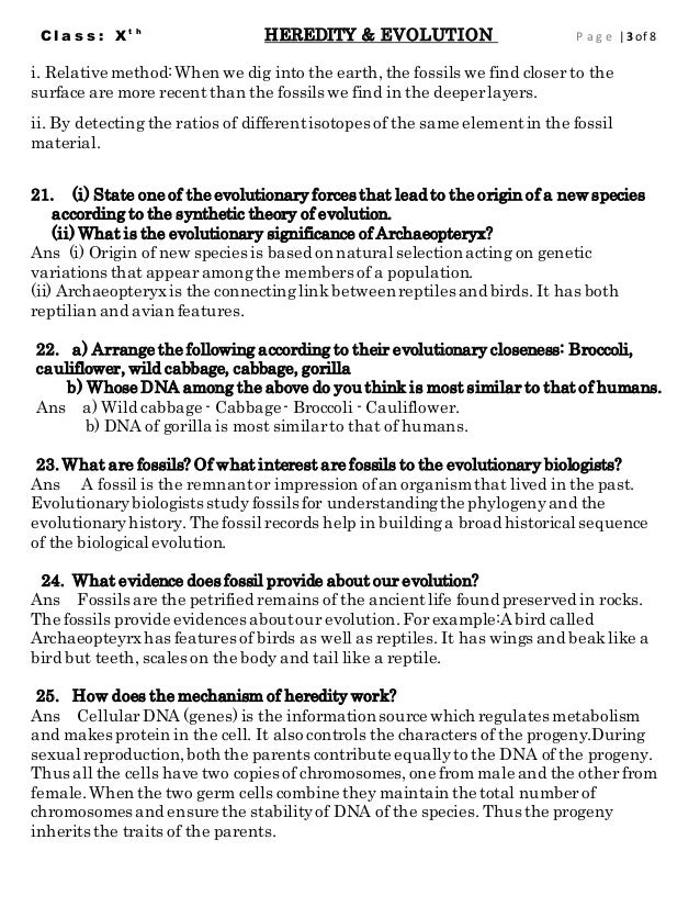 Evolution essay questions