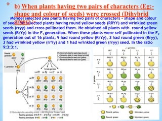 Heredity and evolution | PPSX