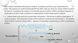 • DNA contains information about protein synthesis. It synthesizes proteins as per requirement for a
body. Thus proteins are synthesized through RNA by DNA. Only one of the two strands of DNA is used in
this process. According to the sequence of nucleotides present on DNA, m RNA is produced. Sequence of
nucleotides in m RNA which is produced is complementary to DNA strand used for synthesis.
• i.e. Adenine binds with uracil and cytosine binds with guanine. This process is called as transcription. It
occurs in nucleus. RNA polymerase binds to DNA molecule at initiation site and unwinds it. The template
strand of DNA is used for coding m RNA. Sequence of nucleotides complementary to DNA is produced on
m RNA.
 