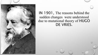IN 1901, The reasons behind the
sudden changes were understood
due to mutational theory of HUGO
DE VRIES.
 