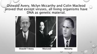 Ostwald Avery, Mclyn Mccarthy and Colin Macleod
proved that except viruses, all living organisms have
DNA as genetic material.
 