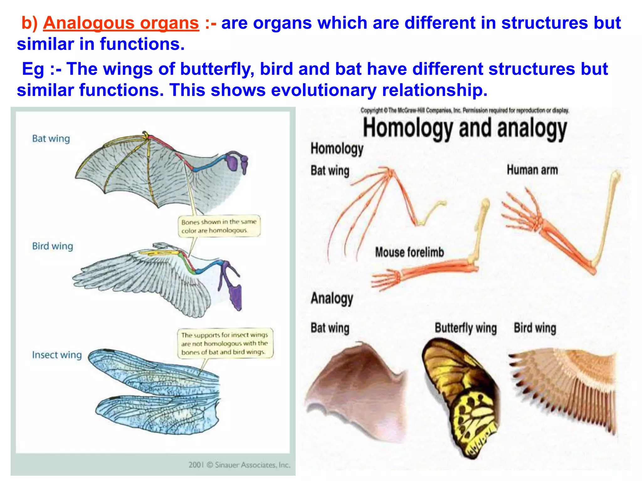 b) Analogous organs :- are organs which are different in structures but
similar in functions.
Eg :- The wings of butterfly, bird and bat have different structures but
similar functions. This shows evolutionary relationship.
 