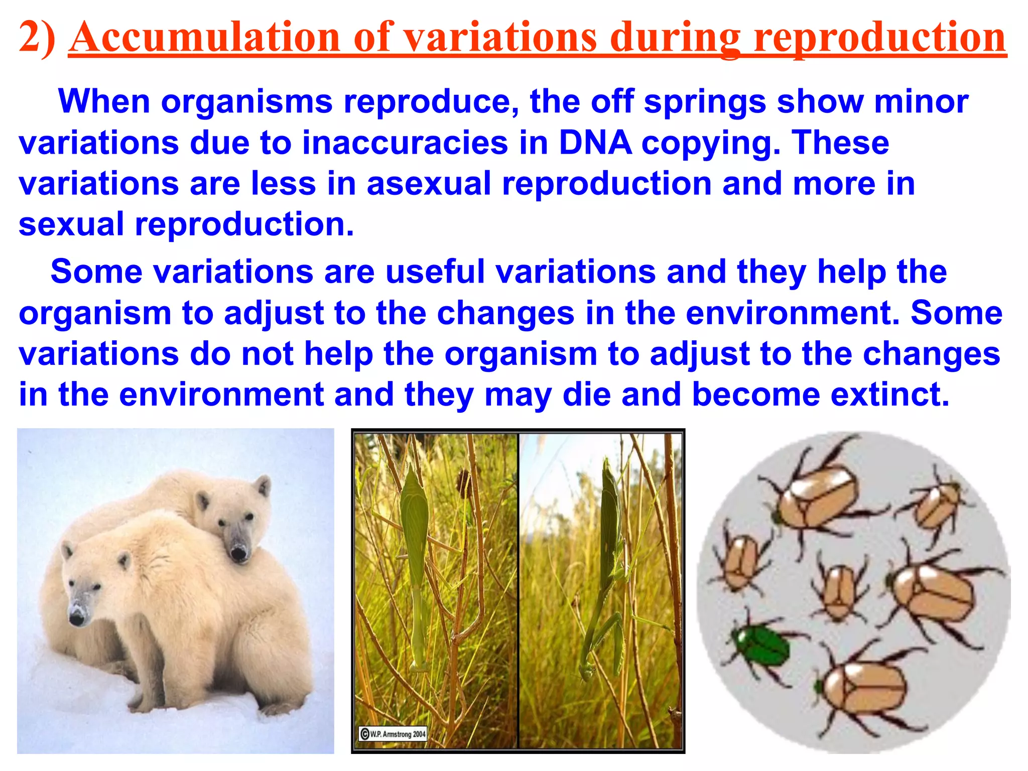2) Accumulation of variations during reproduction
When organisms reproduce, the off springs show minor
variations due to inaccuracies in DNA copying. These
variations are less in asexual reproduction and more in
sexual reproduction.
Some variations are useful variations and they help the
organism to adjust to the changes in the environment. Some
variations do not help the organism to adjust to the changes
in the environment and they may die and become extinct.
 