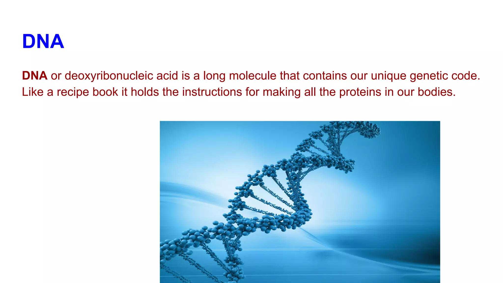 DNA
DNA or deoxyribonucleic acid is a long molecule that contains our unique genetic code.
Like a recipe book it holds the instructions for making all the proteins in our bodies.
 