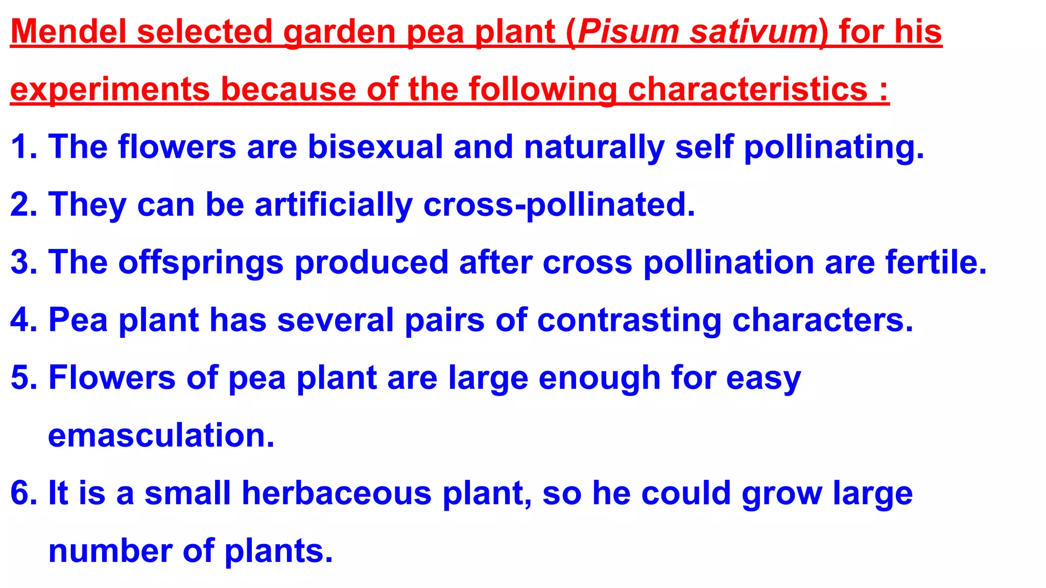 Mendel selected garden pea plant (Pisum sativum) for his
experiments because of the following characteristics :
1. The flowers are bisexual and naturally self pollinating.
2. They can be artificially cross-pollinated.
3. The offsprings produced after cross pollination are fertile.
4. Pea plant has several pairs of contrasting characters.
5. Flowers of pea plant are large enough for easy
emasculation.
6. It is a small herbaceous plant, so he could grow large
number of plants.
 