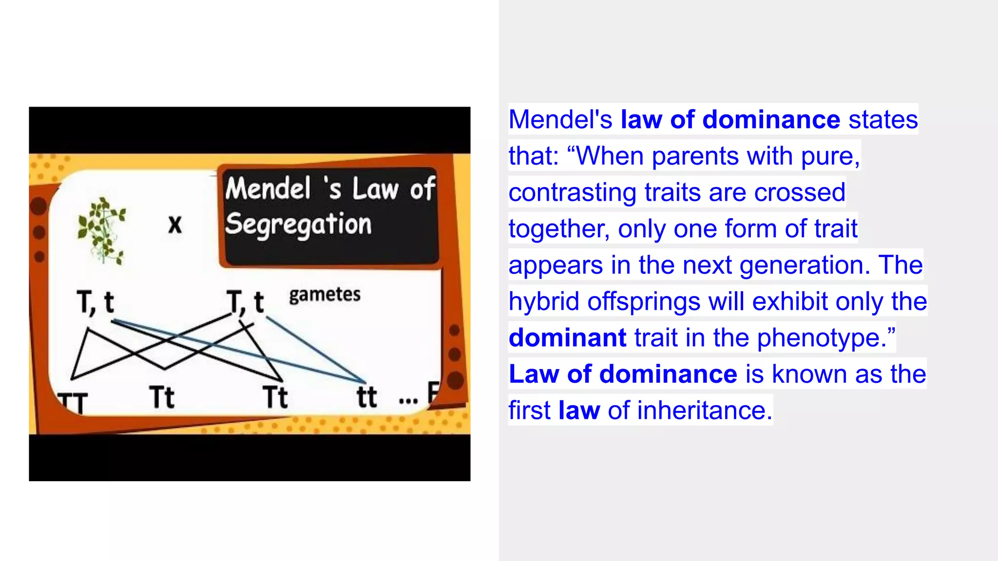 Mendel's law of dominance states
that: “When parents with pure,
contrasting traits are crossed
together, only one form of trait
appears in the next generation. The
hybrid offsprings will exhibit only the
dominant trait in the phenotype.”
Law of dominance is known as the
first law of inheritance.
 