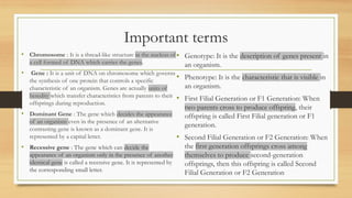 Important terms
• Chromosome : It is a thread-like structure in the nucleus of
a cell formed of DNA which carries the genes.
• Gene : It is a unit of DNA on chromosome which governs
the synthesis of one protein that controls a specific
characteristic of an organism. Genes are actually units of
heredity which transfer characteristics from parents to their
offsprings during reproduction.
• Dominant Gene : The gene which decides the appearance
of an organism even in the presence of an alternative
contrasting gene is known as a dominant gene. It is
represented by a capital letter.
• Recessive gene : The gene which can decide the
appearance of an organism only in the presence of another
identical gene is called a recessive gene. It is represented by
the corresponding small letter.
• Genotype: It is the description of genes present in
an organism.
• Phenotype: It is the characteristic that is visible in
an organism.
• First Filial Generation or F1 Generation: When
two parents cross to produce offspring, their
offspring is called First Filial generation or F1
generation.
• Second Filial Generation or F2 Generation: When
the first generation offsprings cross among
themselves to produce second-generation
offsprings, then this offspring is called Second
Filial Generation or F2 Generation
 