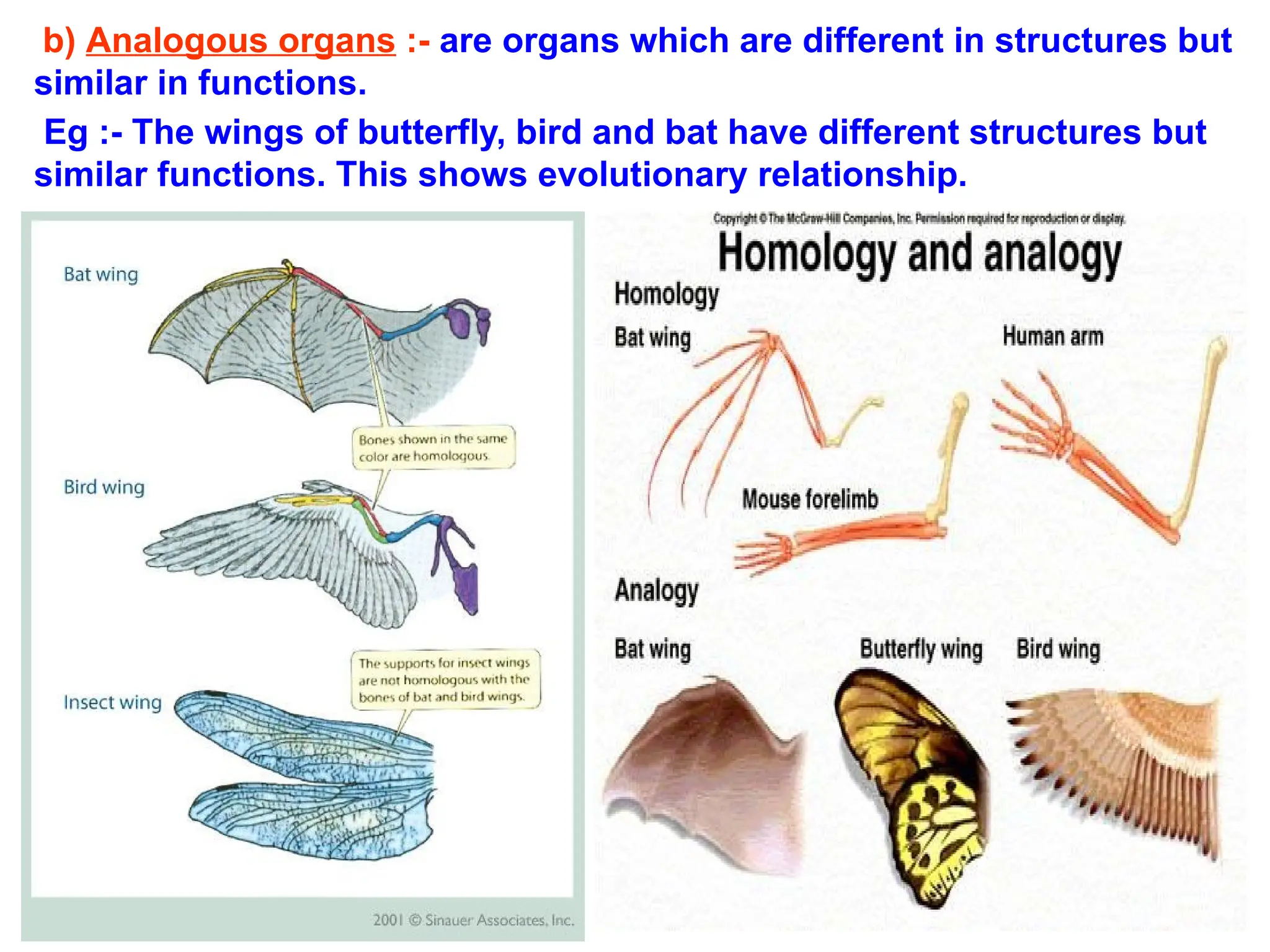 b) Analogous organs :- are organs which are different in structures but
similar in functions.
Eg :- The wings of butterfly, bird and bat have different structures but
similar functions. This shows evolutionary relationship.
 