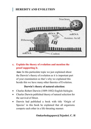 Heredity and Evolution class 10th by Tejashri c h | PDF