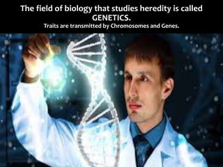 Heredity and genetics | PPSX